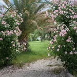 Il Casale Di Monica Casa di campagna *
