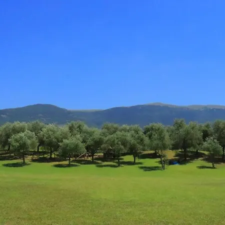 Il Casale Di Monica Kır Evi