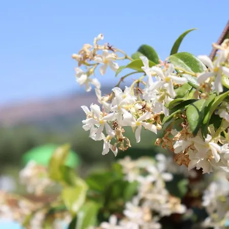 Il Casale Di Monica Rivotorto