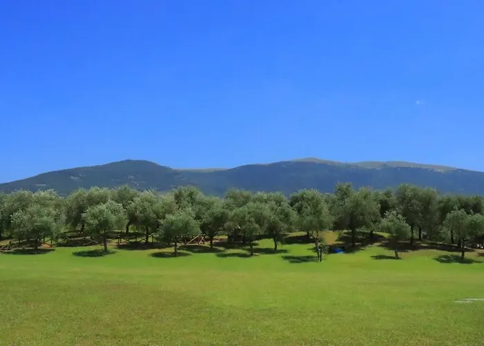 Il Casale Di Monica Летний дом