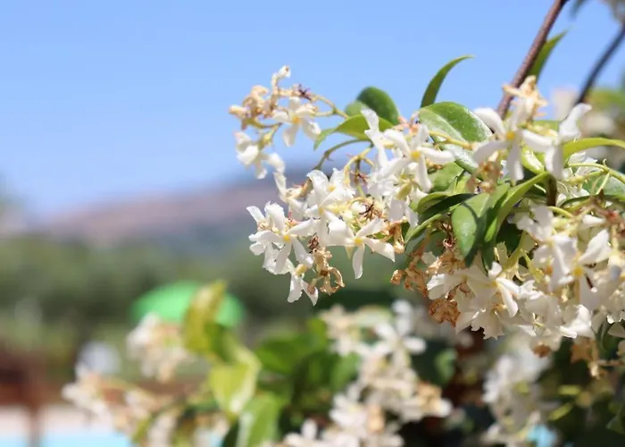 Il Casale Di Monica Ривоторто